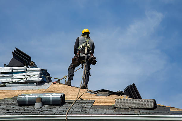 Professional Storm Damage Roof Repair technician working in Danville, AR